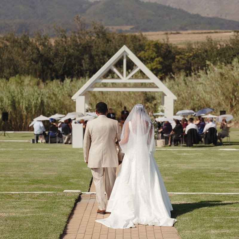 The Bridal Plan KLEIN001 Cover