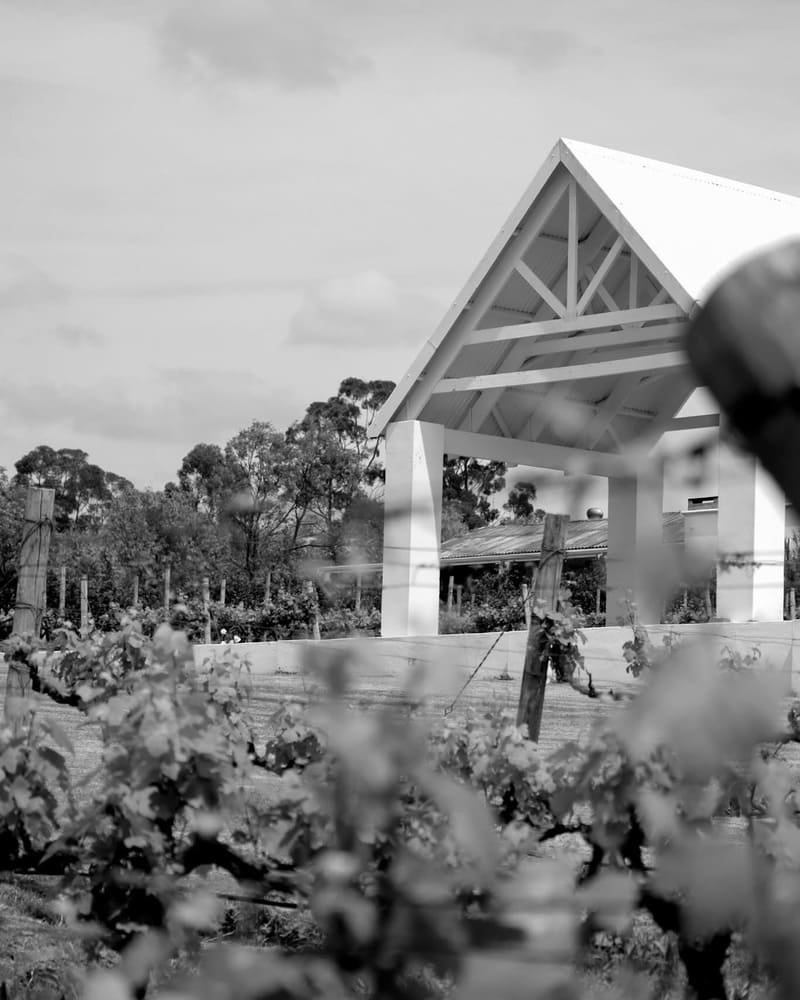 The Bridal Plan KLEIN001 Gallery6