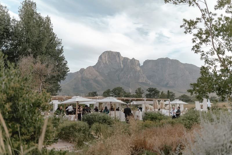 Elegant canapés served at a weekend wedding celebration