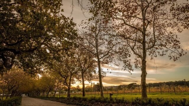 Lanzerac Wine Estate wedding venue historic Stellenbosch location