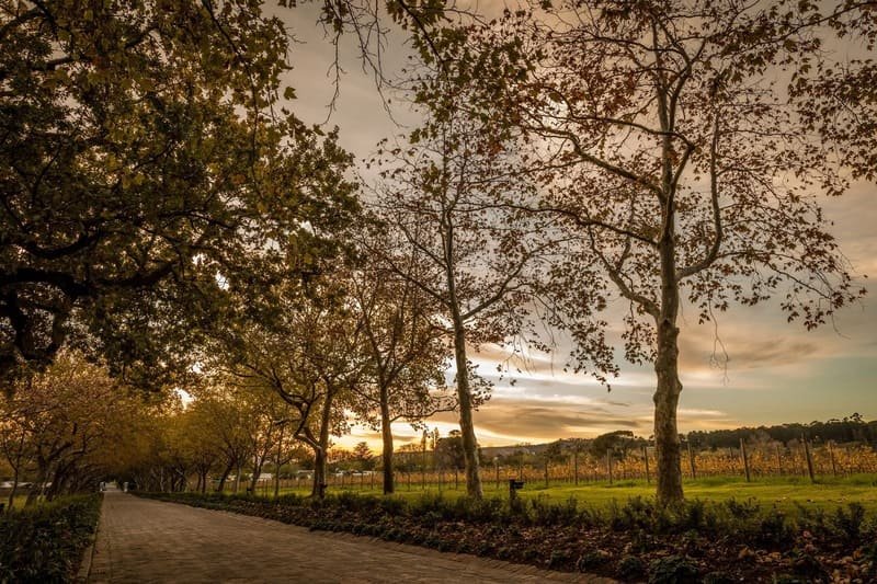 Lanzerac Wine Estate wedding venue historic Stellenbosch location