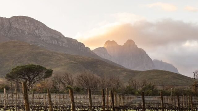 Lanzerac Wine Estate wedding venue historic Stellenbosch location