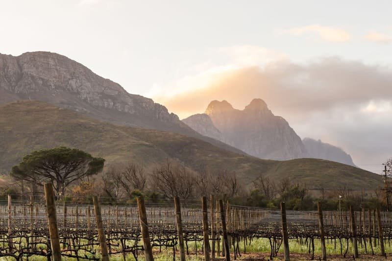 Lanzerac Wine Estate wedding venue historic Stellenbosch location