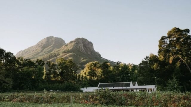 Molenvliet Vineyards wedding venue in Stellenbosch
