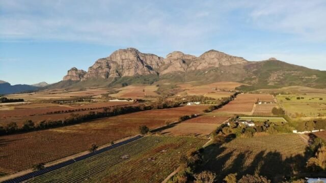 Vrede en Lust Wine Estate wedding venue in Cape Winelands