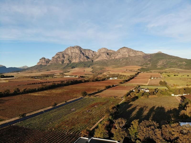 Vrede en Lust Wine Estate wedding venue in Cape Winelands