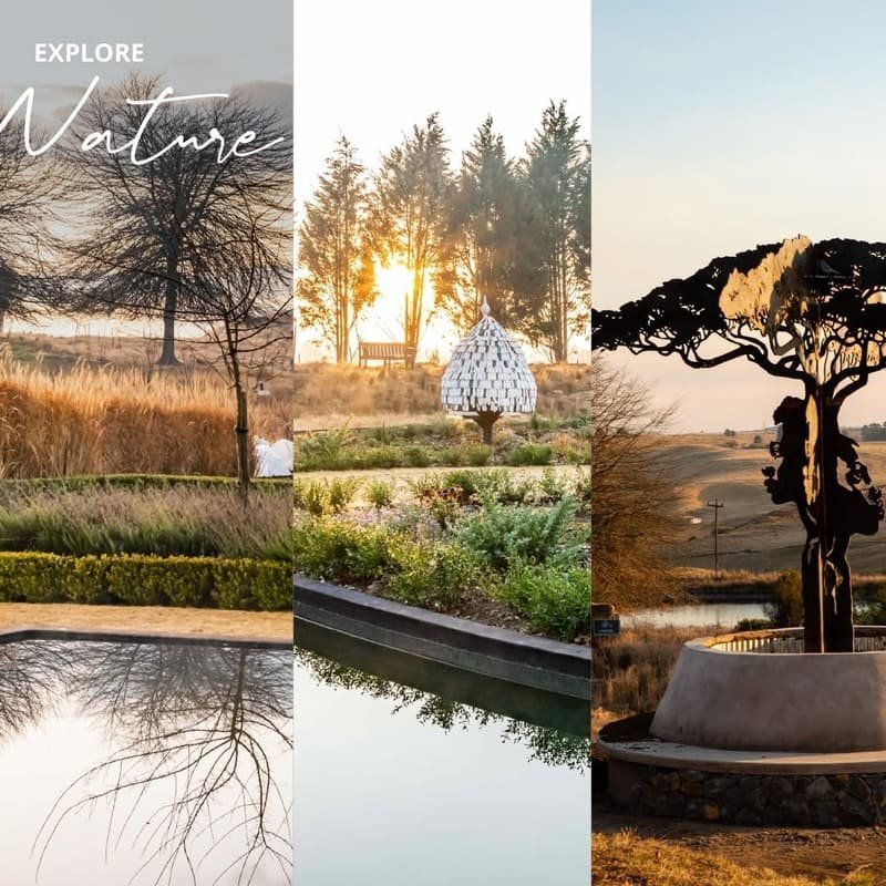 Brahman Hills wedding venue KwaZulu-Natal Midlands
