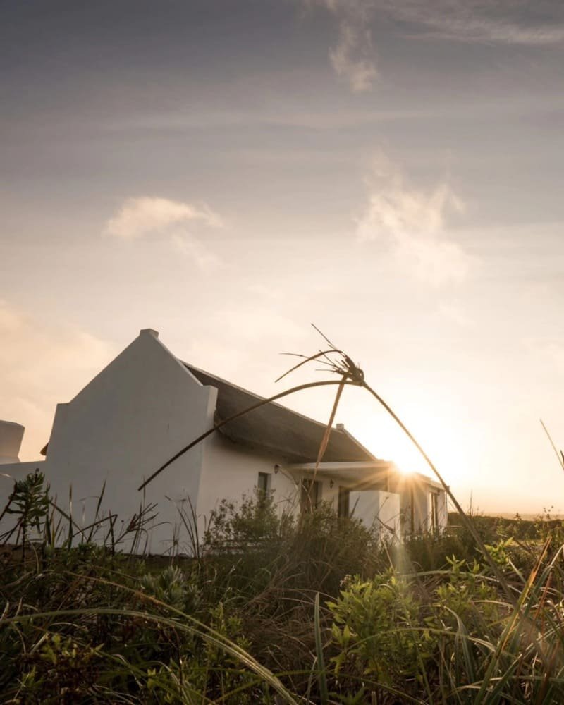 Gourikwa Reserve coastal wedding venue in the Western Cape