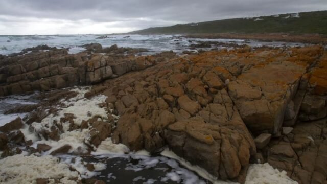 Gourikwa Reserve coastal wedding venue in the Western Cape