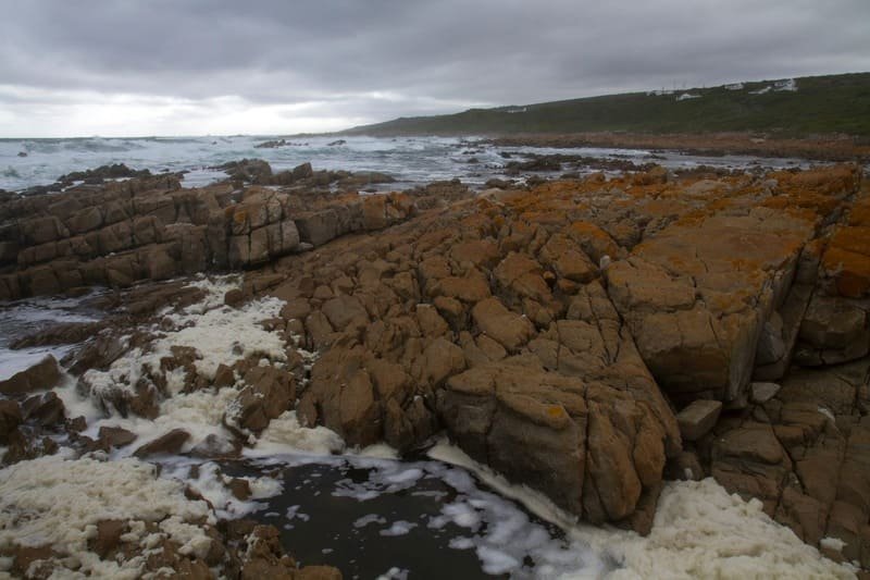 Gourikwa Reserve coastal wedding venue in the Western Cape