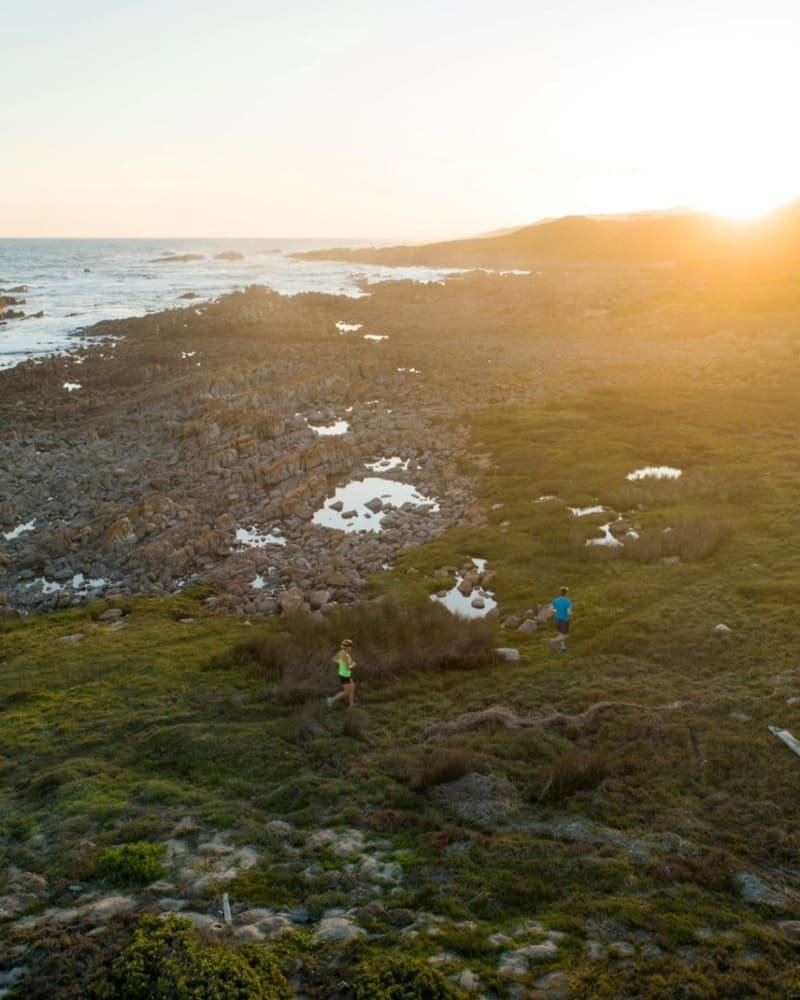 Gourikwa Reserve coastal wedding venue in the Western Cape