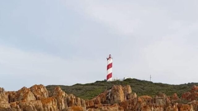 Gourikwa Reserve coastal wedding venue in the Western Cape