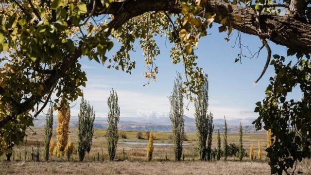 The Rosendal Country Retreat wedding venue in the Eastern Free State