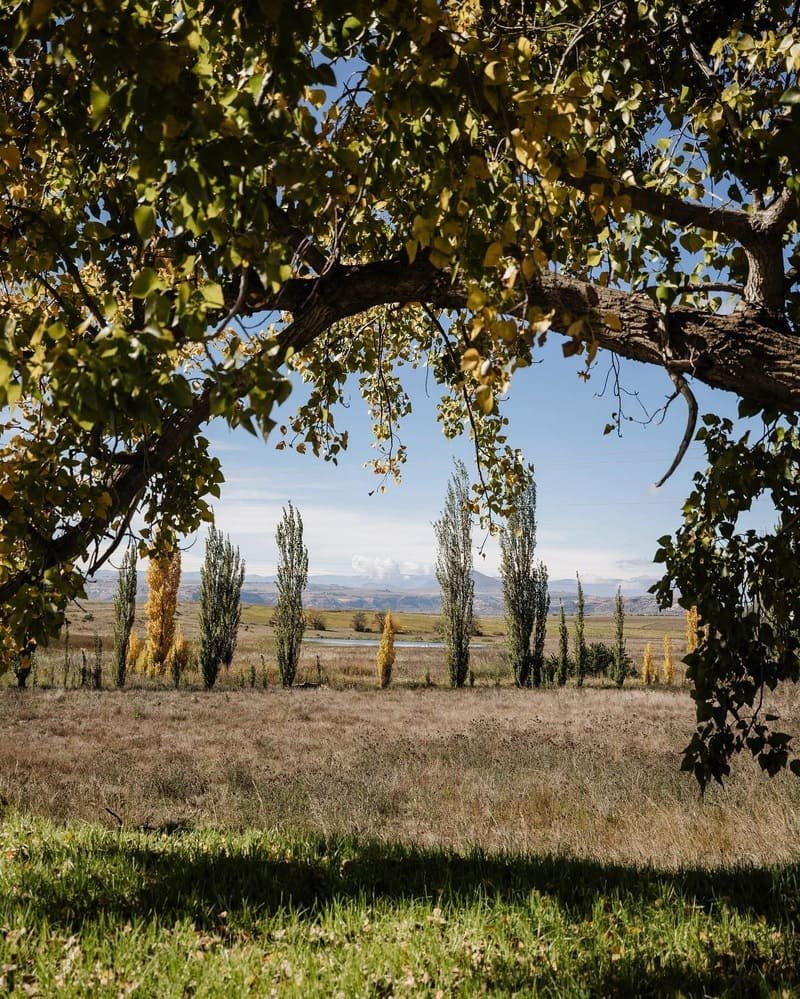The Rosendal Country Retreat wedding venue in the Eastern Free State