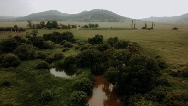 The Stone Cellar wedding venue in the Suikerbosrand River Valley