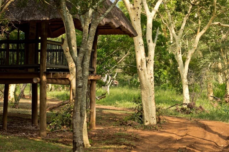 Zululand Tree Lodge wedding and safari venue in KwaZulu-Natal