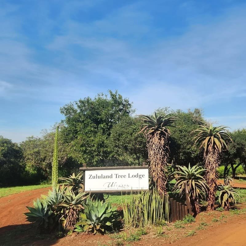Zululand Tree Lodge wedding and safari venue in KwaZulu-Natal