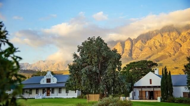 Bosjes Estate Western Cape Wedding Venue