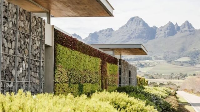 Cavalli Estate Wedding Venue Stellenbosch