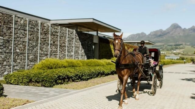 Cavalli Estate Wedding Venue Stellenbosch