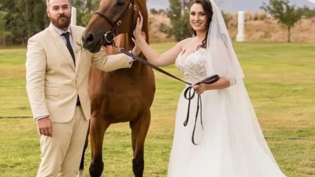 Ever After Bridal Wear Cape Town Wedding Dresses