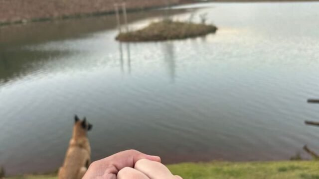 Jack Friedman Fine Jewellery South Africa