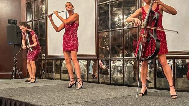 Sterling EQ Electric String Quartet Performing in South Africa