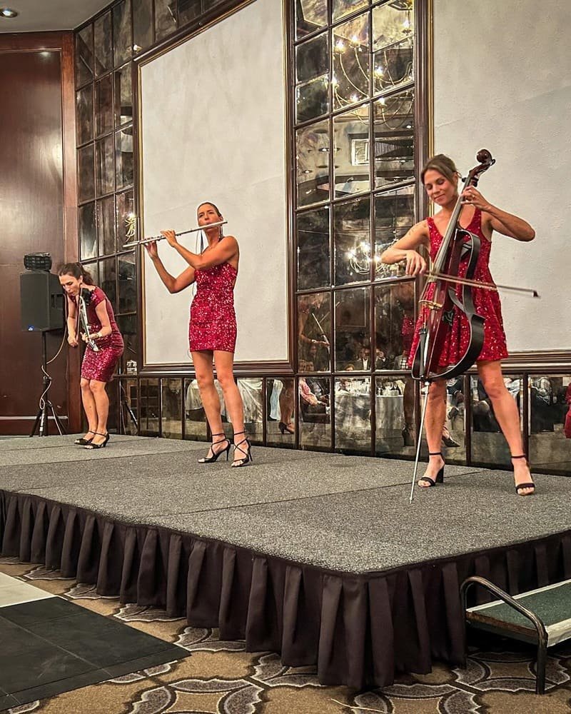 Sterling EQ Electric String Quartet Performing in South Africa