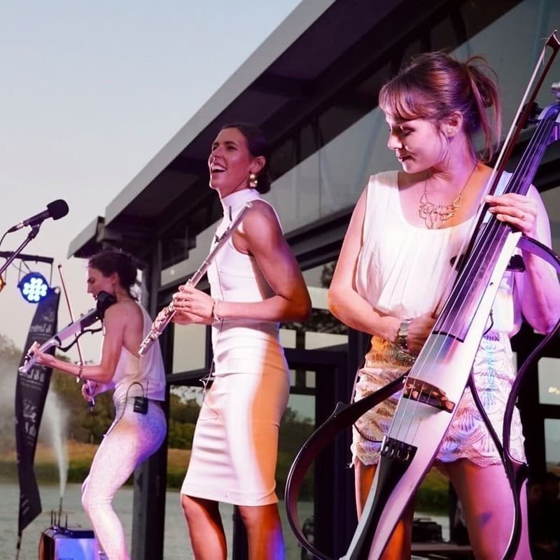 Sterling EQ Electric String Quartet Performing in South Africa